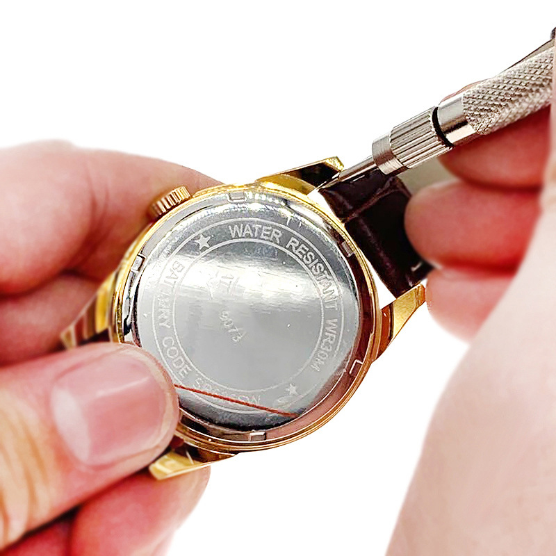 4Pin Replace Watch Strap Sprin - Spring Bar Tool Set recension och pris