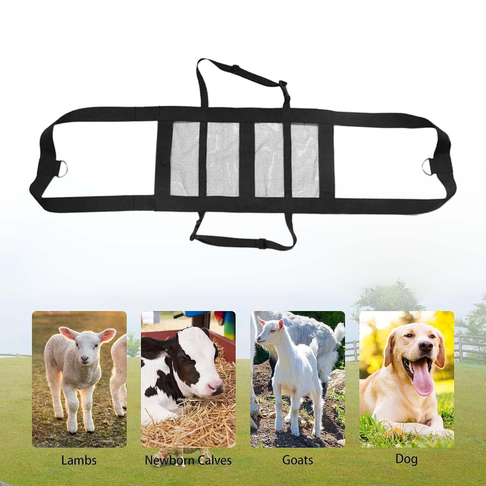 Calf Sling Hanging Weight Scal - Mesh Strap Metal recension och pris