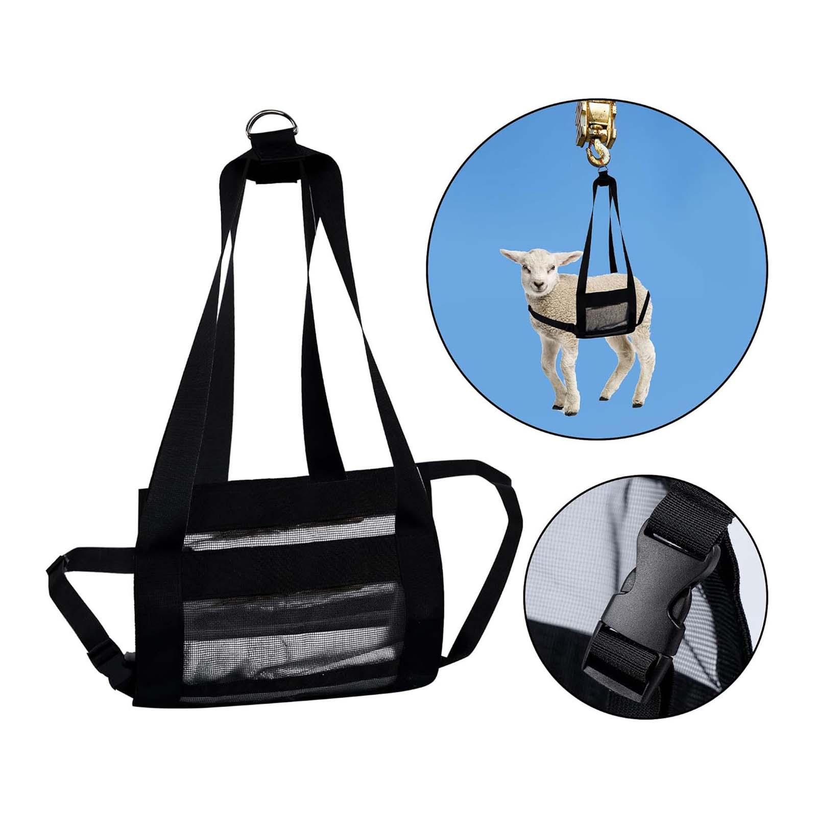 Calf Sling Hanging Weight Scal - Mesh Strap Metal recension och pris
